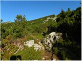 Planina Kosmačeve Rastke - Velika Raduha